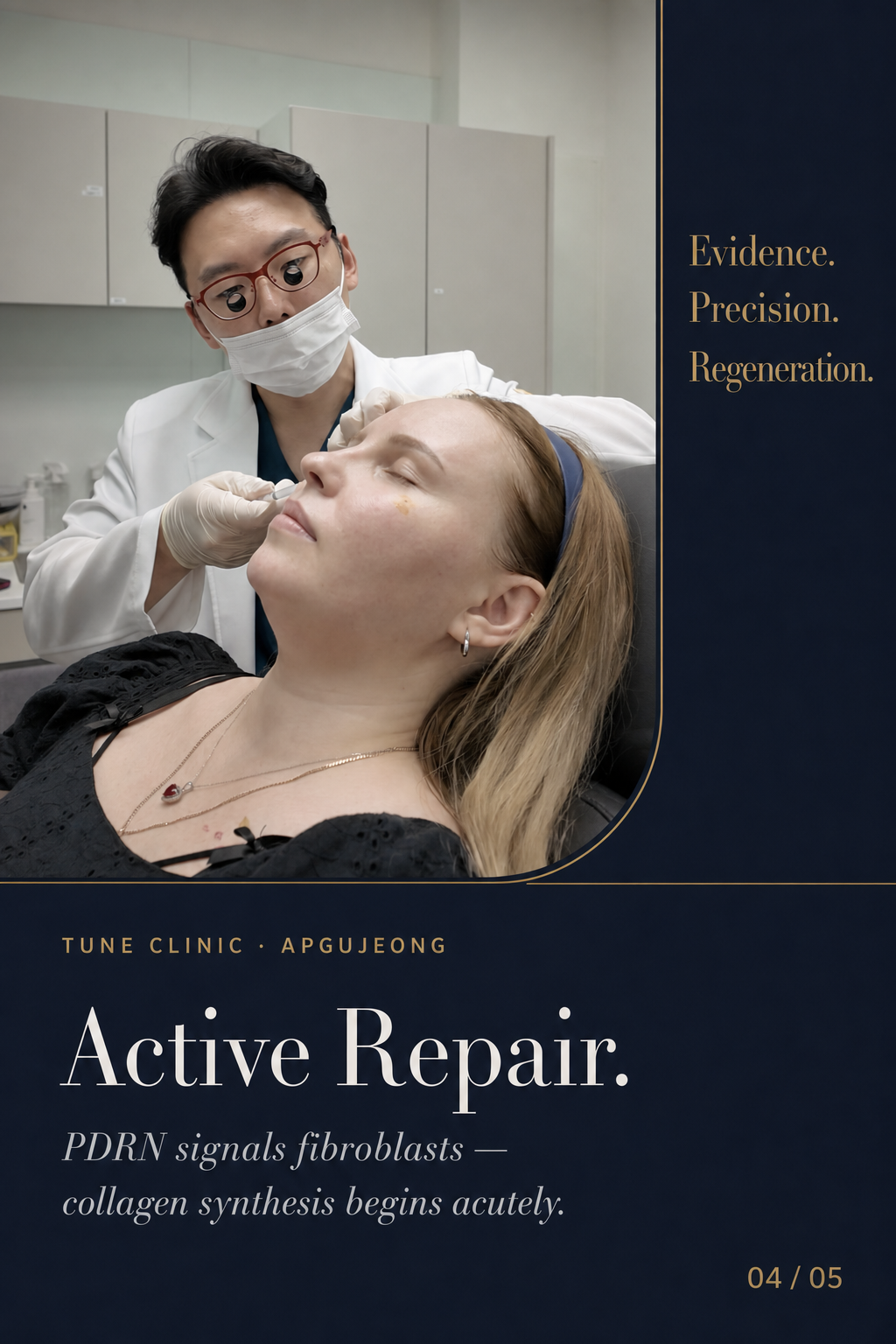 Active Repair. — PDRN signals fibroblasts — collagen synthesis begins acutely.